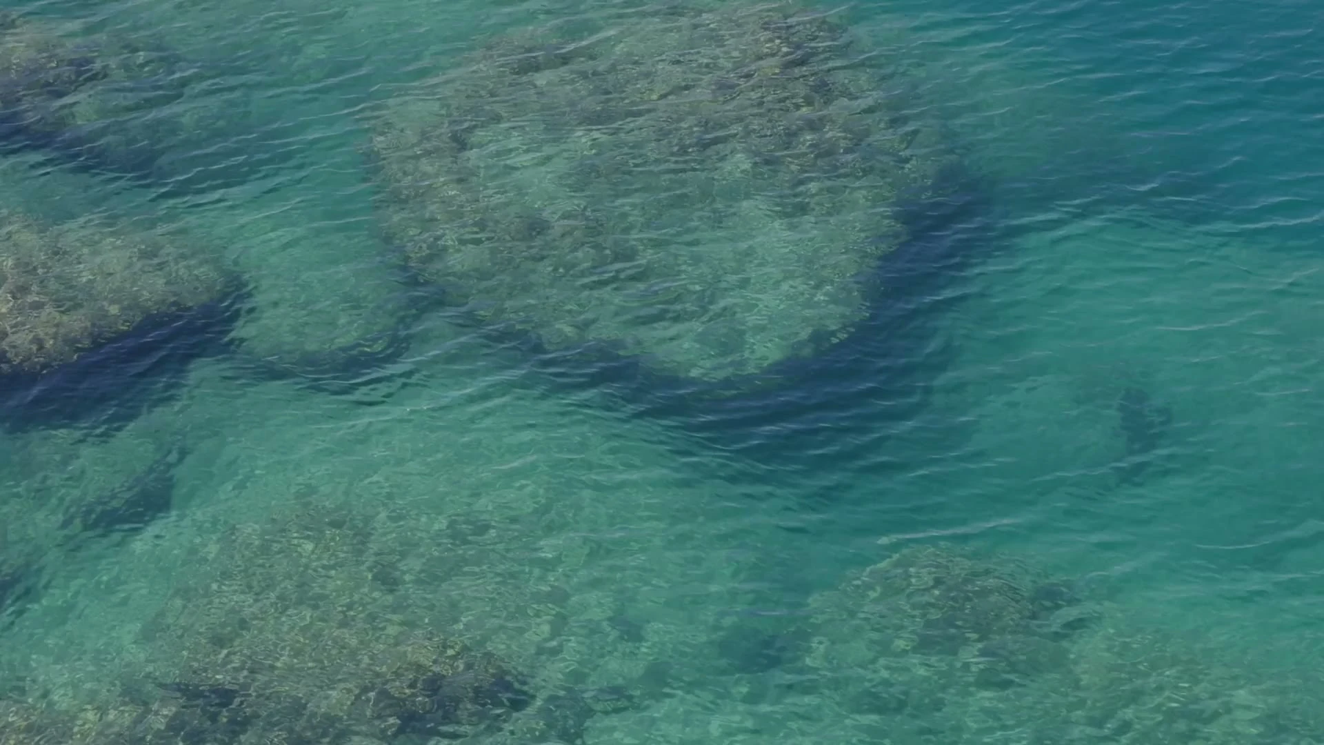 Reef